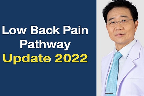 Low Back Pain Pathway Update 2022