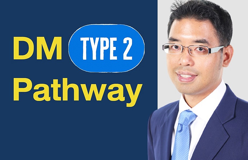 DM Type2 Pathway