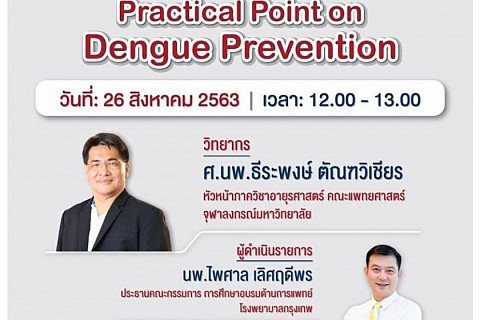 Practical Point on Dengue Prevention